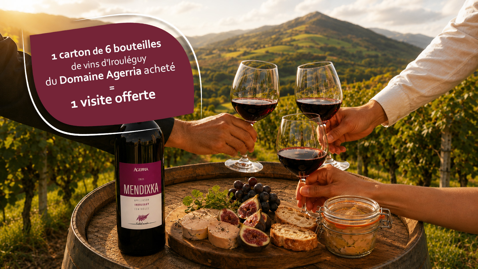 Domaine Agerria, vin d'Irouléguy AOP du Pays Basque