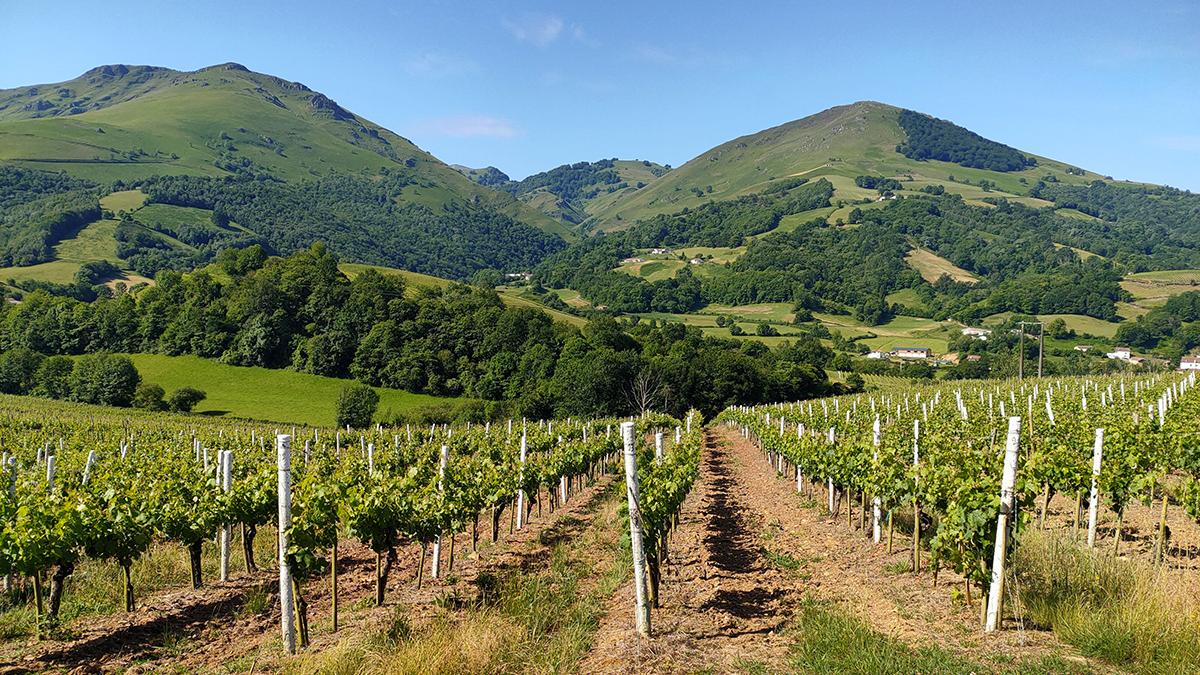 Domaine Agerria
