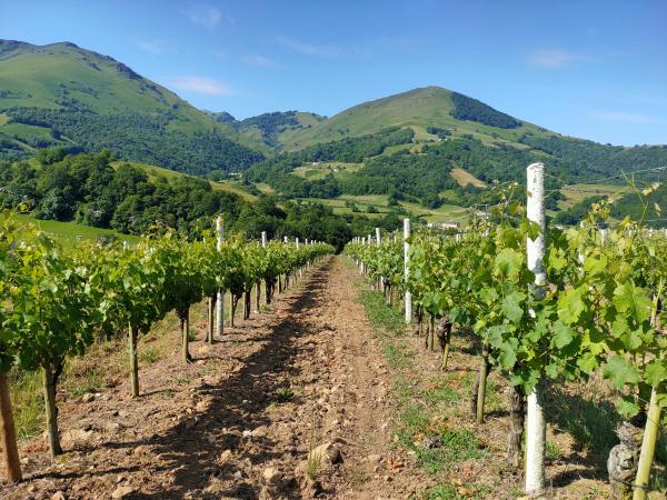 Domaine Agerria